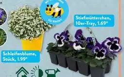 Aldi Süd Gardenline Beetpflanzen-Frühlingsmix Angebot