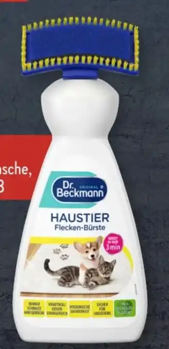 Aldi Süd Dr. Beckmann Haustier Flecken-Burste Angebot