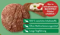 Aldi Süd Nur Natur Bio-Steinofen-Vollkornbrot Angebot