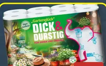 Aldi Süd Dick&Durstig Haushaltstücher Angebot