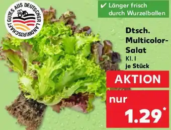 Kaufland Dtsch. Multicolor Salat Angebot