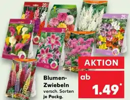 Kaufland Blumen Zwiebeln Angebot