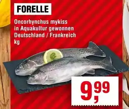 Handelshof FORELLE Angebot