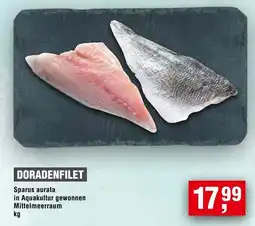 Handelshof DORADENFILET Angebot