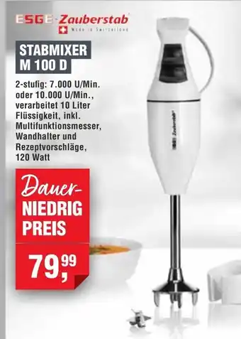 Handelshof ESGE-Zauberstab STABMIXER M 100 D Angebot