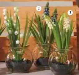 Handelshof KUNST-MUSCARI Angebot