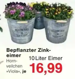 Jawoll Bepflanzter Zink- eimer Angebot