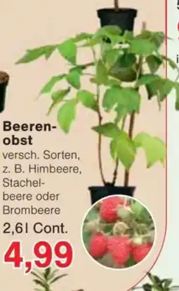 Jawoll Beeren- obst Angebot