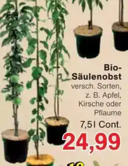 Jawoll Bio- Säulenobst Angebot