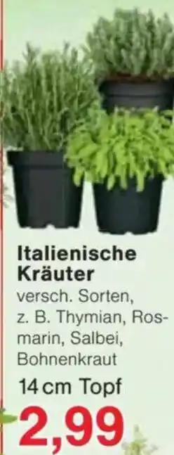 Jawoll Italienische Kräuter Angebot