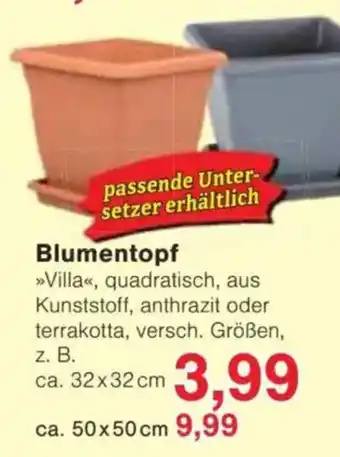 Jawoll Blumentopf Angebot