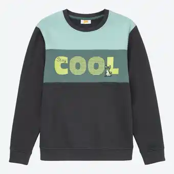 NKD Kinder-Jungen-Sweatshirt mit Colorblocking-Design Angebot