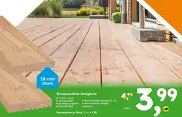 Globus Baumarkt Terrassendiele Douglasie Angebot