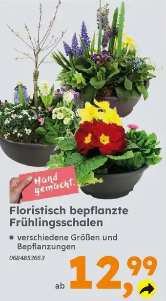 Globus Baumarkt Floristisch bepflanzte Frühlingsschalen Angebot