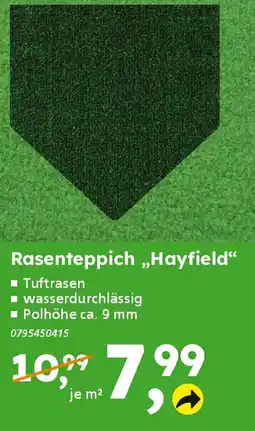 Globus Baumarkt Rasenteppich „Meadow" Rasenteppich „Hayfield" Angebot