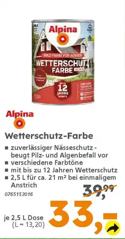 Globus Baumarkt Alpina Wetterschutz-Farbe Angebot