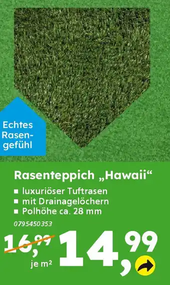 Globus Baumarkt Rasenteppich „Hawaii" Angebot