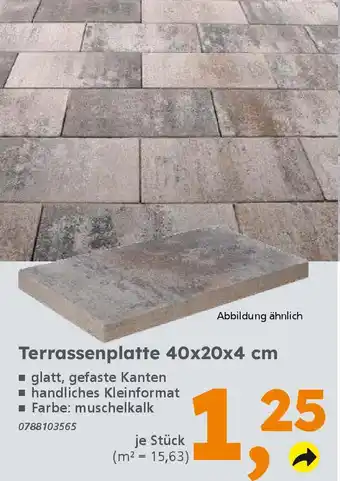 Globus Baumarkt Terrassenplatte 40x20x4 cm Angebot