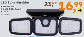 Globus Baumarkt LED Solar-Strahler Angebot