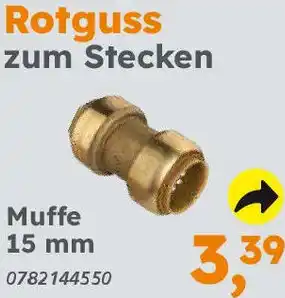 Globus Baumarkt Rotguss zum Stecken Angebot