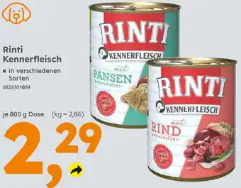 Globus Baumarkt Rinti Kennerfleisch Angebot