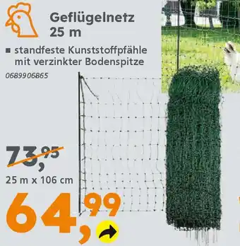 Globus Baumarkt Geflügelnetz 25 m Angebot