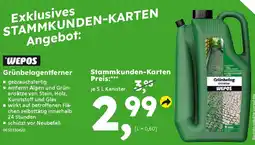 Globus Baumarkt WEPOS Grünbelagentferner Angebot