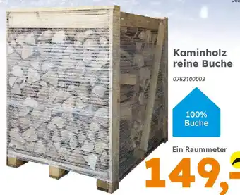 Globus Baumarkt Kaminholz reine Buche Angebot