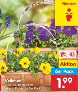 Netto Marken-Discount Veilchen Angebot