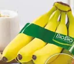 Netto Marken-Discount BioBio Bio-Bananen Angebot