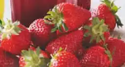 Netto Marken-Discount Erdbeeren Angebot