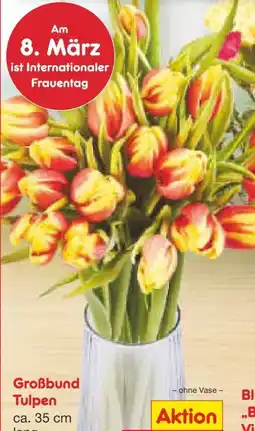 Netto Marken-Discount Tulpen-Großbund Angebot