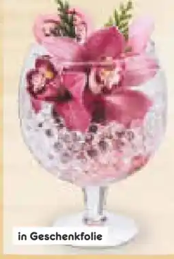 Netto Marken-Discount Orchideengestecke Cymbidien Angebot