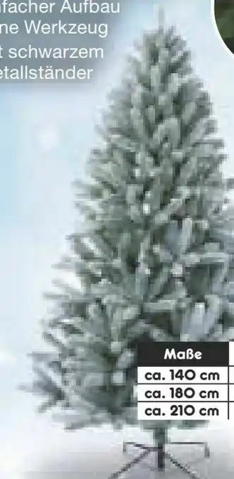 Netto Marken-Discount Weihnachtsbaum Angebot