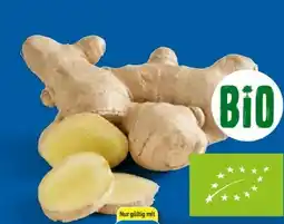 Lidl Bio Ingwer Angebot