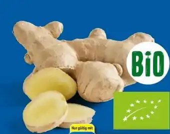 Lidl Bio Ingwer Angebot