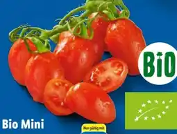 Lidl Bio-Mini Romatomaten Angebot