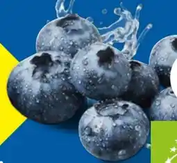 Lidl Bio-Heidelbeeren Angebot