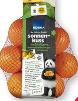 Scheck-in-Center Edeka Orangen Angebot