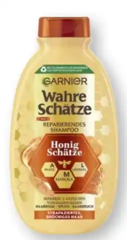 Scheck-in-Center Garnier Wahre Schätze Shampoo Angebot