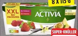 Edeka Danone Activia Fruchtmix XXL Angebot