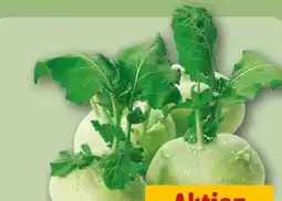 REWE Kohlrabi Angebot