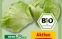 REWE Rewe Bio Bio-Eisbergsalat Angebot