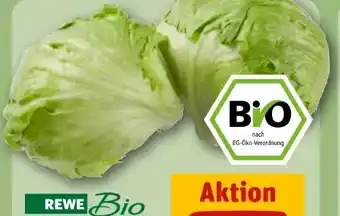 REWE Rewe Bio Bio-Eisbergsalat Angebot