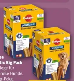 REWE Center Pedigree Dentastix Big Pack Angebot