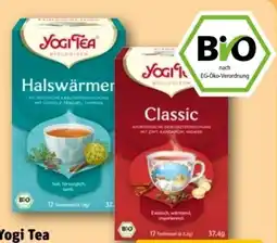 REWE Center Yogi Tea Halswärmer Angebot