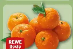 REWE Rewe Beste Wahl Mandarinen Angebot