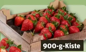 REWE Erdbeeren Angebot