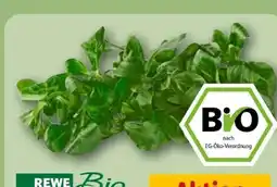 REWE Rewe Bio Feldsalat Angebot