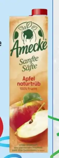 trinkgut Amecke Fruchtsaft Angebot